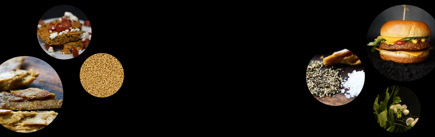 Alternative meat protein collage