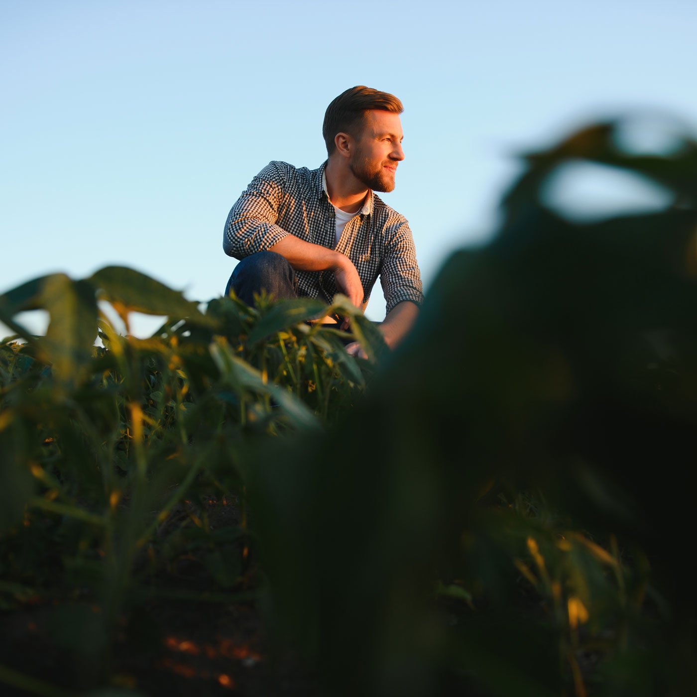 farmer-crouching-in-soybean-field