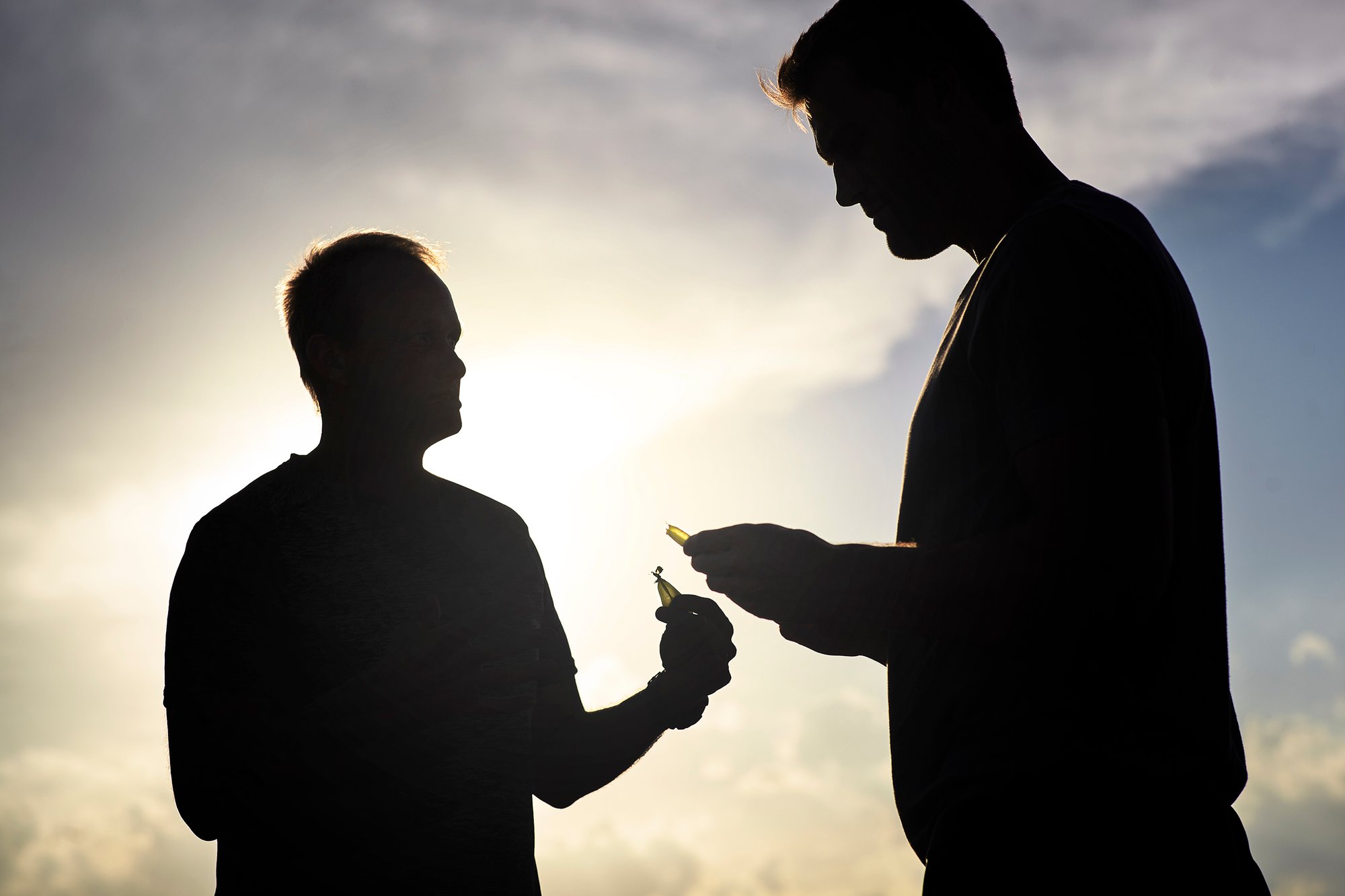 Two men stand in farm field holding crops as sun sets.