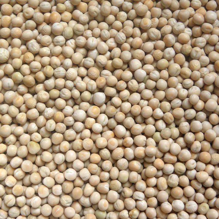 yellow-pea-cluster