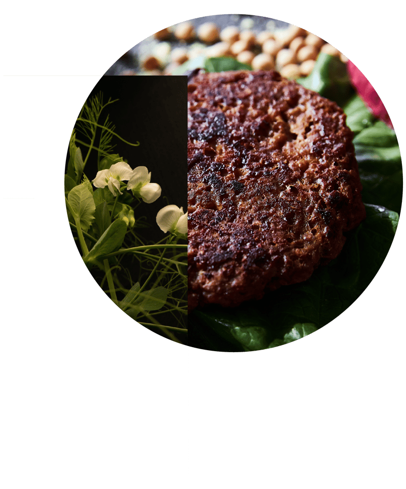 Burger and pea plant protein