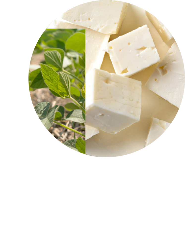 PURIS non-gmo soybeans