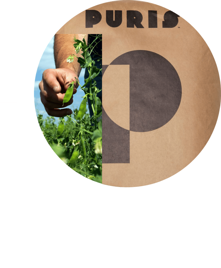 PURIS Pea protein