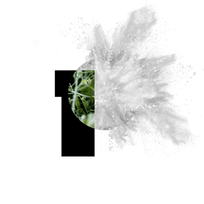 PURIS Pre-Gel Pea Starch (PS85-PG)