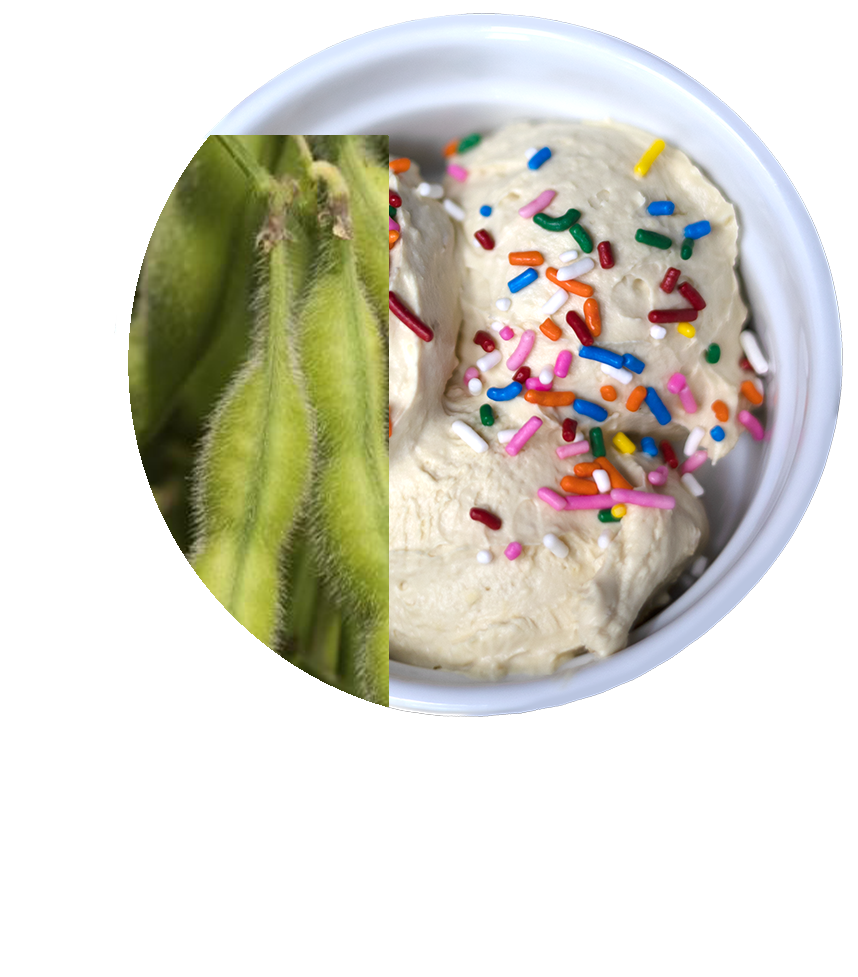 PURIS plant-based ice cream