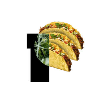 PURIS Textured Pea Protein 80% (TPP80)